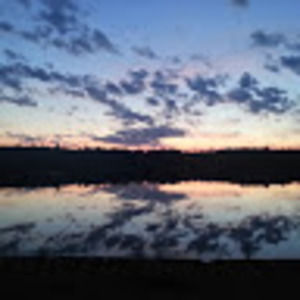 Meet your Posher, Cherry